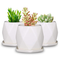 Geometric ceramic planter trio
