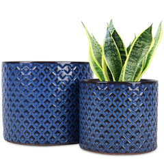 Blue ceramic planter duo
