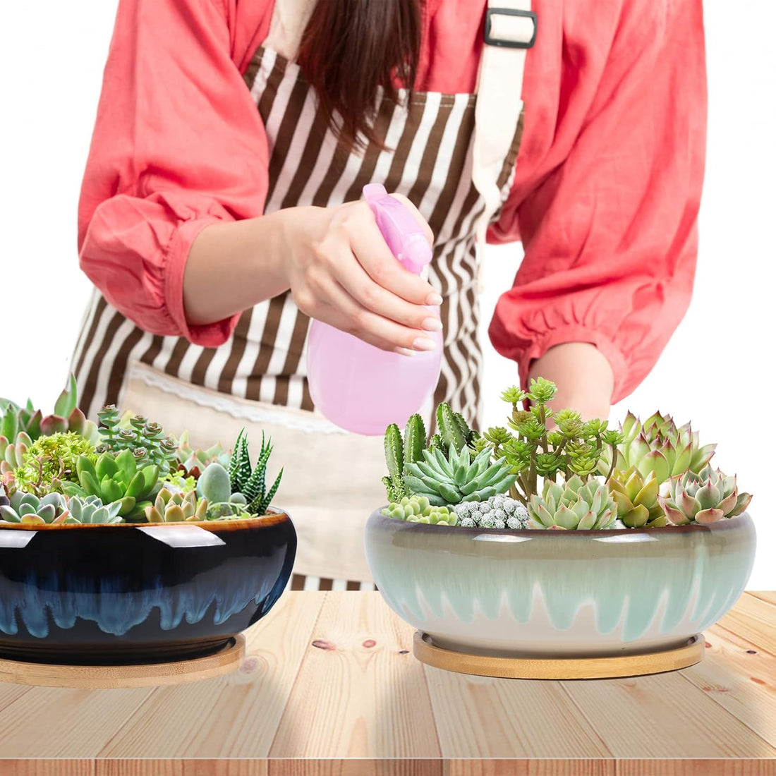 Succulent flower pot selection strategy ③: Size rule - say goodbye to the "big pot ruins everything" pot selection formula