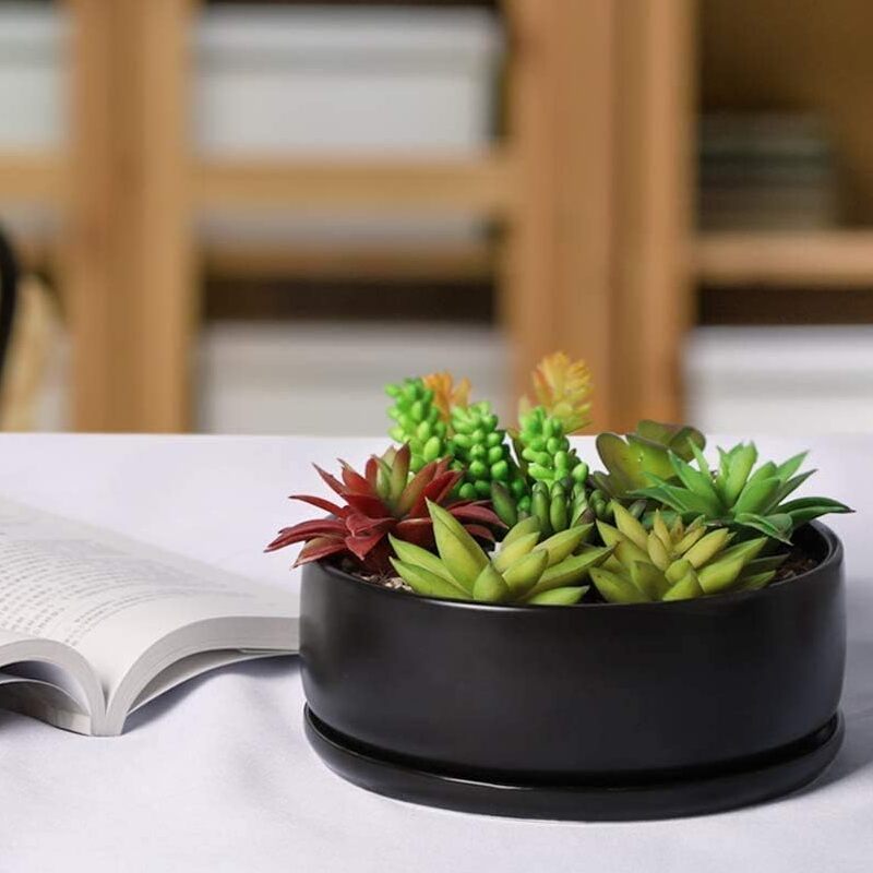 Succulent flower pot selection strategy ②: Material decryption - red pottery/stoneware/porcelain pots, who is the "best landlord"?