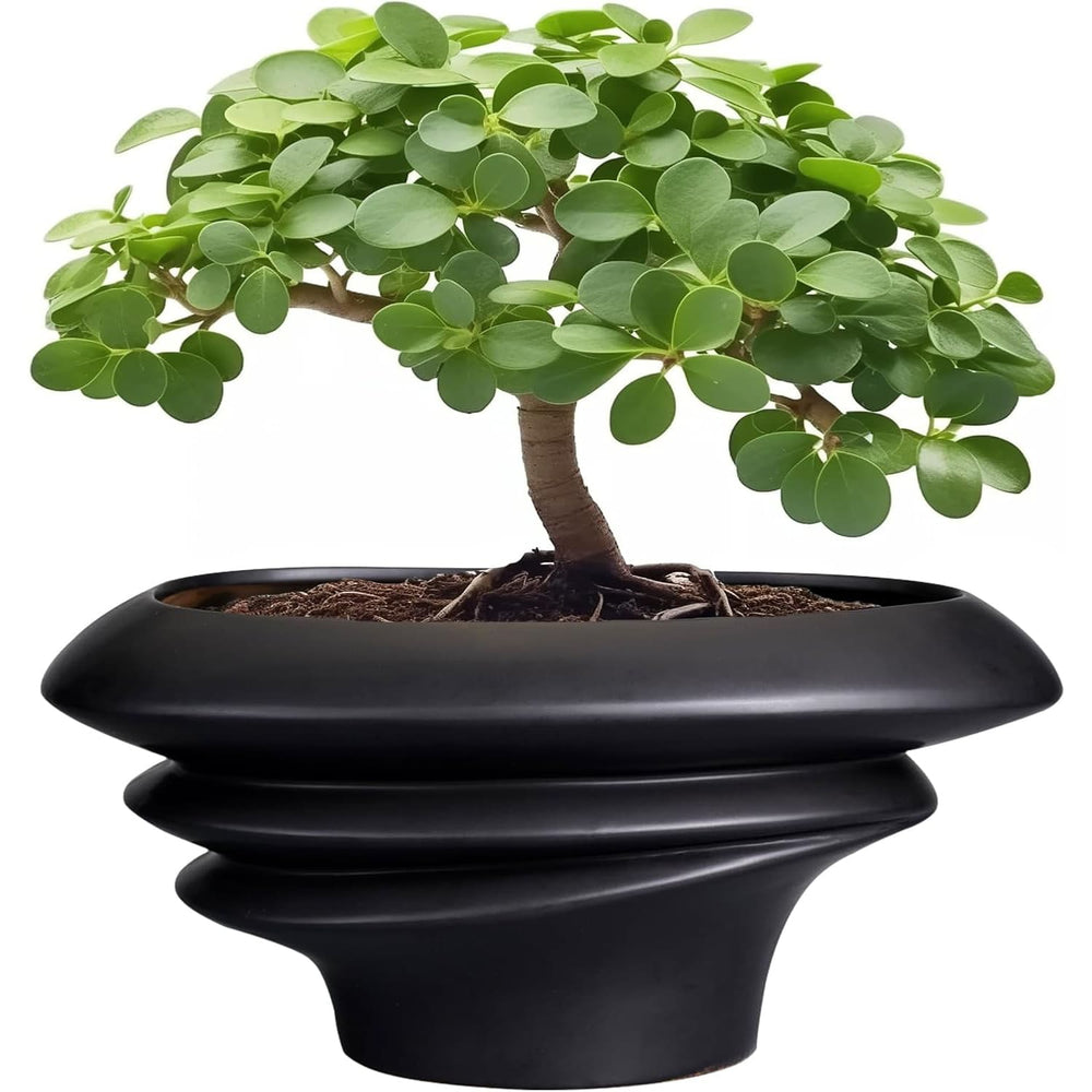 Black bonsai planter