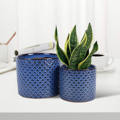 Blue ceramic planter duo