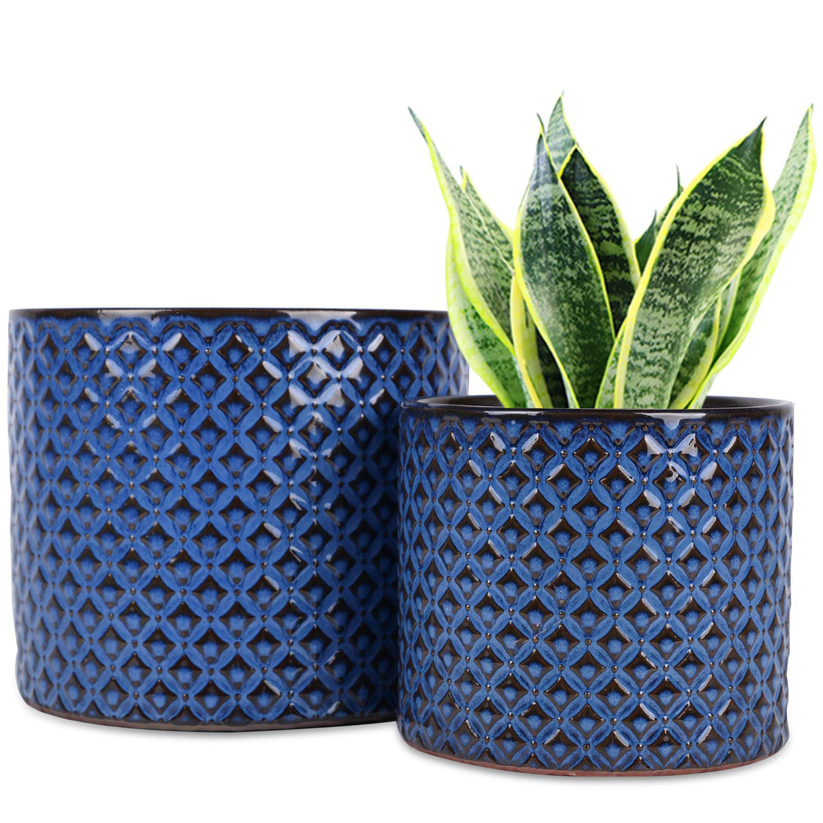 Blue ceramic planter duo