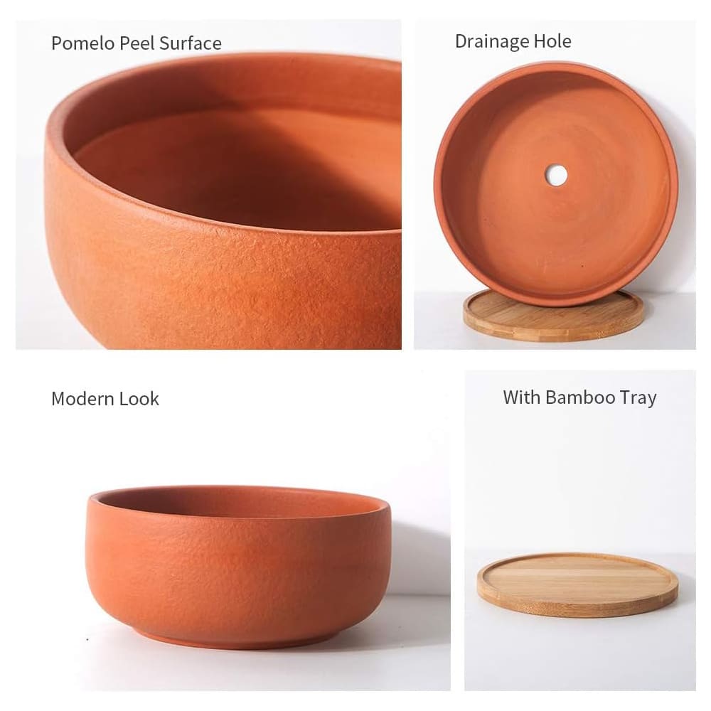 8/10" Large Terracotta Bonsai Planter with Bamboo Drainage Tray – Natural Clay, High-Temp Fired for Succulents, Cacti & Indoor/Outdoor Use