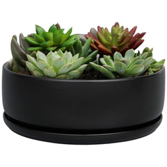 Shallow ceramic bonsai planter