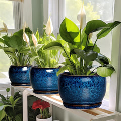 Round blue glazed planter