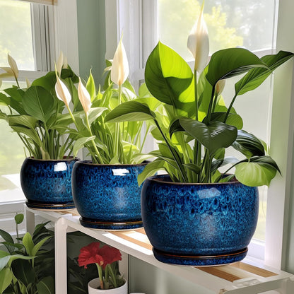 Ceramic Planter 6/7.8/10 Inch - Pot for Indoor Outdoor Plants Round Ceramic Plant Pot with Drainage Hole and Saucer Modern Flower Pot Glazed Blue