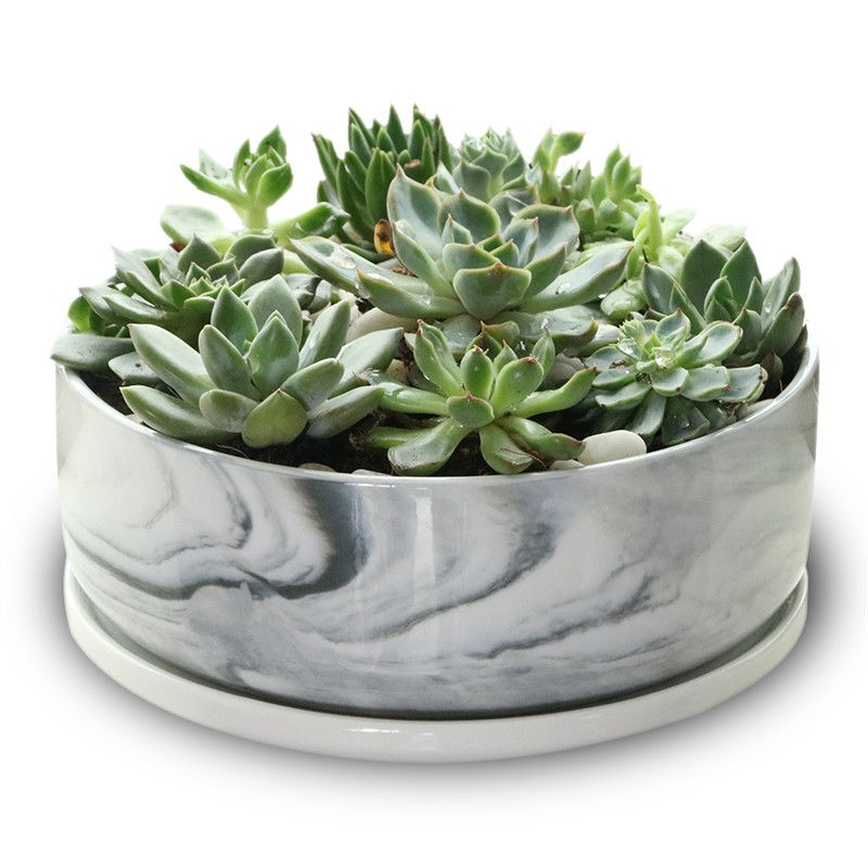 6 Inch Round Marble Ceramic Succulent Planter Pot