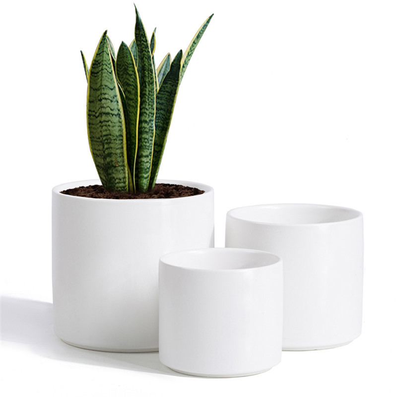 Modern Ceramic Plant Pots