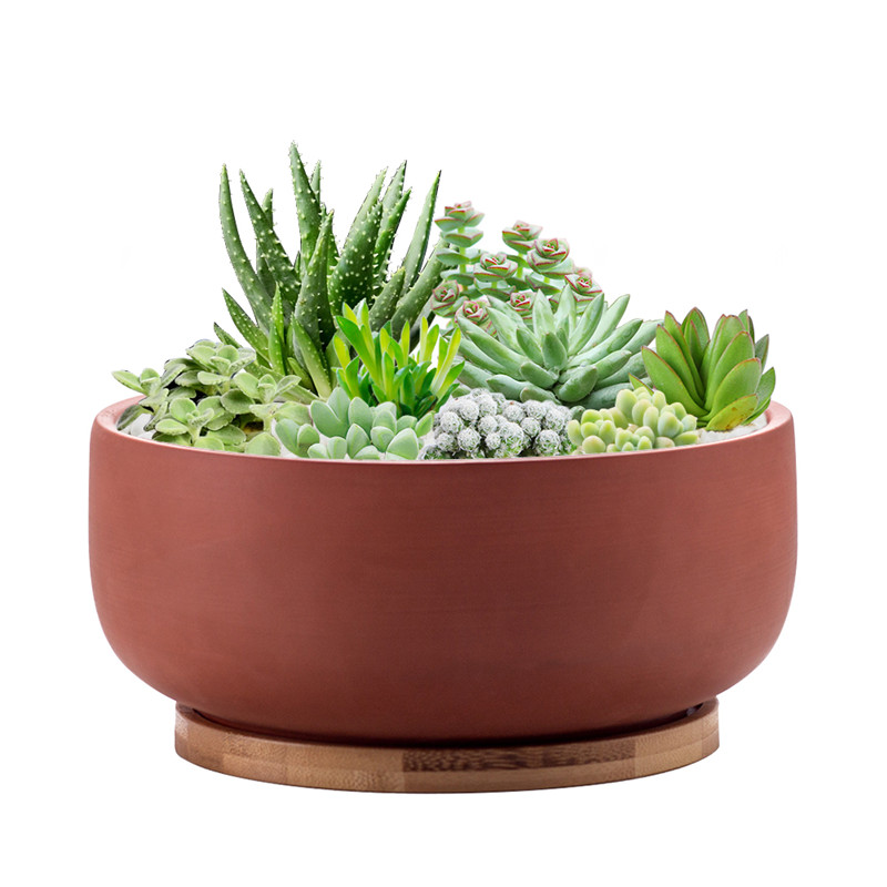8inch Round Terracotta Planter Pots