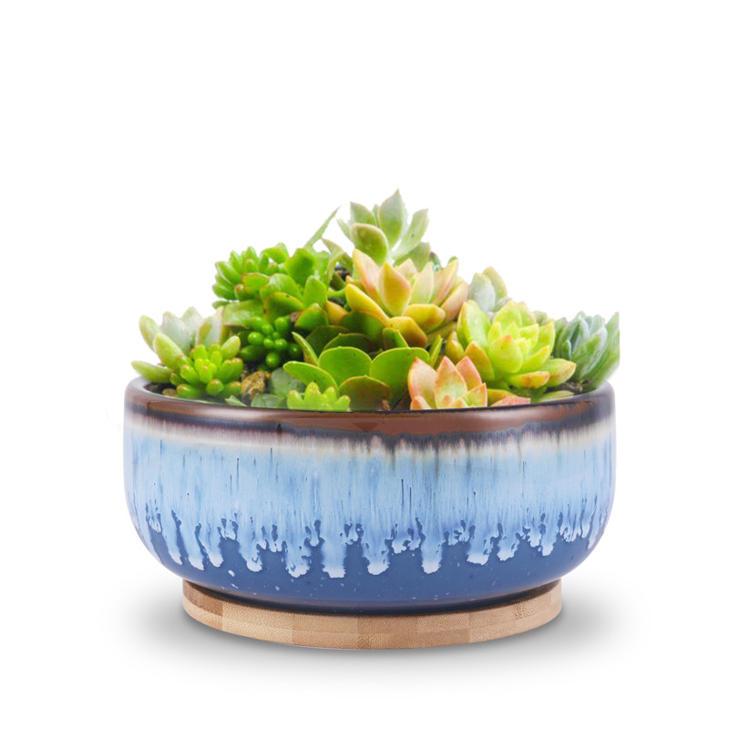Ceramic Succulent Planter Round Pots